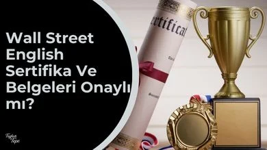 Wall Street English Sertifika Ve Belgeleri Onaylı mı? Geçerli Mi?