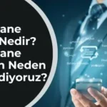 Simultane ne demek? Simultane çeviri nedir?